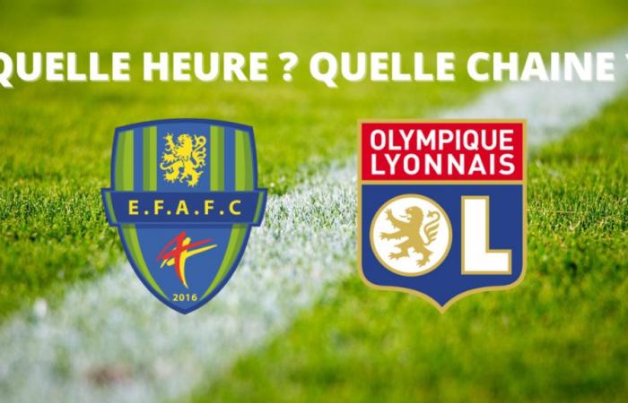 Broadcast Entente Feignies – Aulnoye – Lyon: at what time and on which channel to watch the match live?