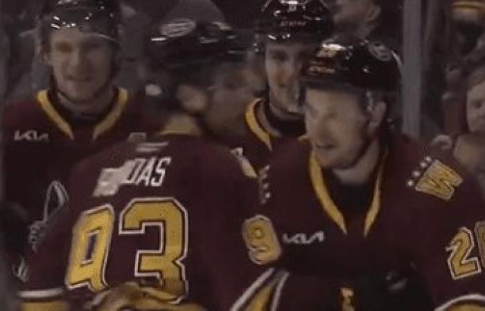 At 26 years old, Quebecer Jordan Martel scores two goals in his first game in the AHL!