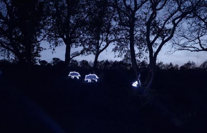 The largest illuminated Christmas nativity scene in France is located in this village in Aude