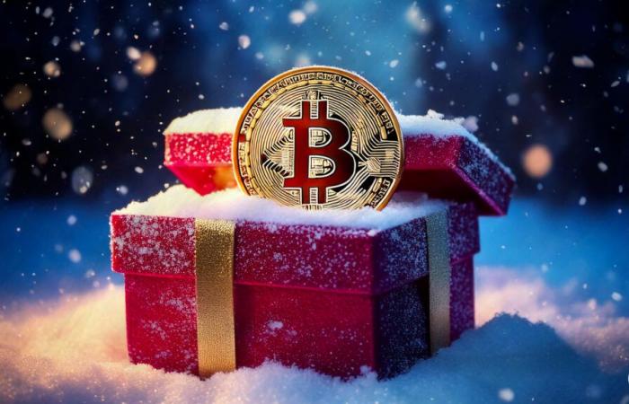 Bitcoin at $1 million in 2030: Cathie Wood wishes you happy holidays!