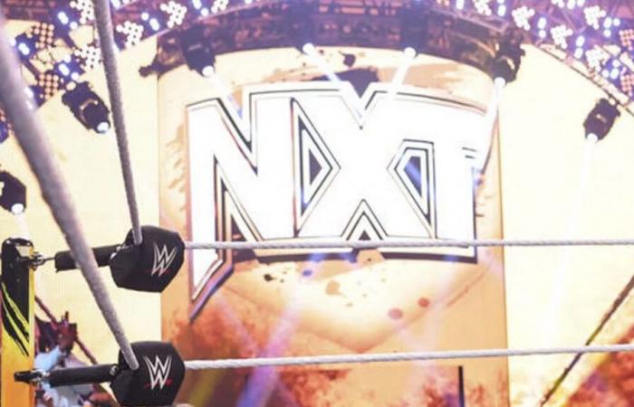 Spoilers: WWE NXT results for December 31, 2024