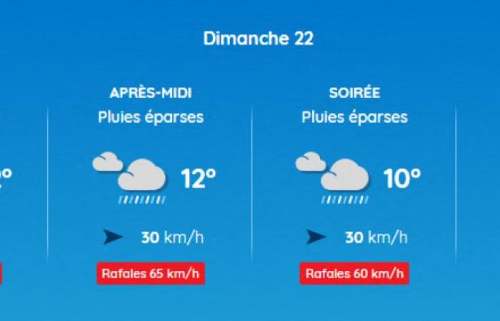 Weather report. A rainy weekend awaits us in Toulouse and Occitanie for the start of the Christmas holidays