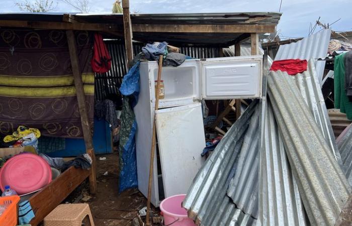 in Mayotte, a week after cyclone Chido, the reconstruction of shanty towns has already begun