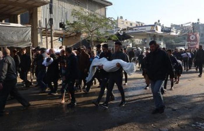 seven children from the same family killed by an Israeli strike in the northern Gaza Strip, according to Civil Defense