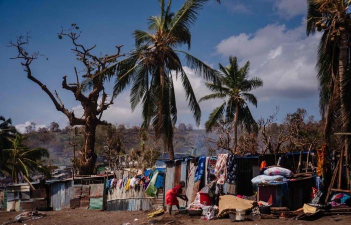 Mayotte | A week after Cyclone Chido, residents are still waiting for help