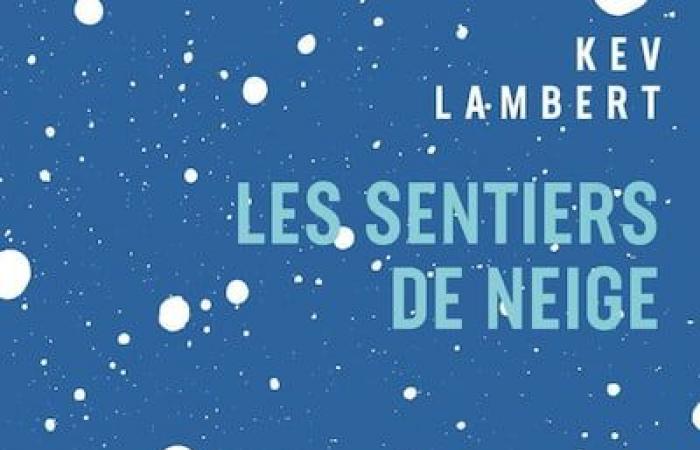 Here are 10 Quebec books to slip under the Christmas tree