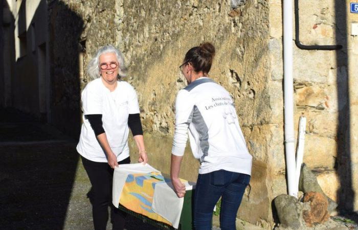 REPORTING. 'A complex and sometimes thankless task': these volunteers work in the shadows against the proliferation of stray cats