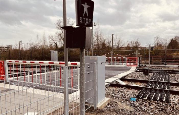 a level crossing now connects the tram to the Coop district!