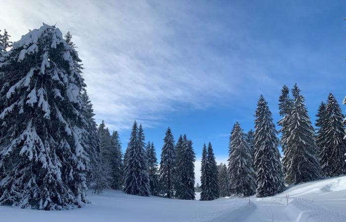 The Jura Arc under the snow as Christmas approaches