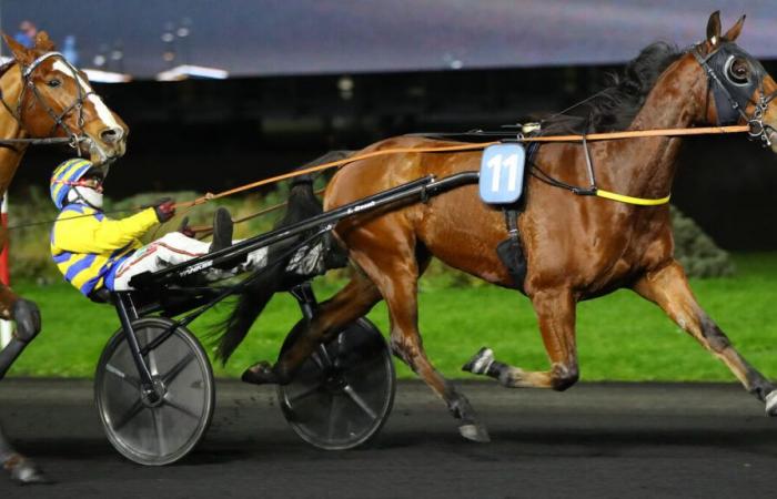 PMU – Arrival of the quinté on Friday, December 20 at Paris-Vincennes: Jipet de Crépin in the style of the forts