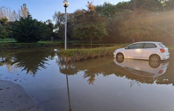 This municipality in Loire-Atlantique is working on a new management plan to deal with flooding