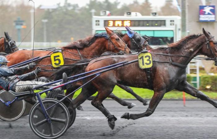 PMU – Arrival of the quinté on Saturday December 21 at Paris-Vincennes: Dream day, even in the rain