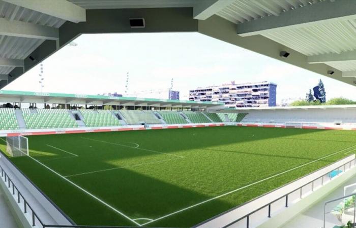 In 50 years, two stadiums have been built in Belgium: “Many clubs focus on the athlete before focusing on the organization”