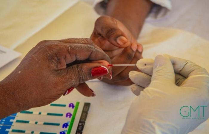 Fight against HIV: 194 CD4 and viral load vouchers distributed | Gabonmediatime.com