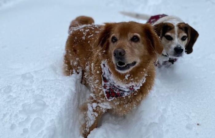 East Coast braces for significant storm with up to 30 cm of snow