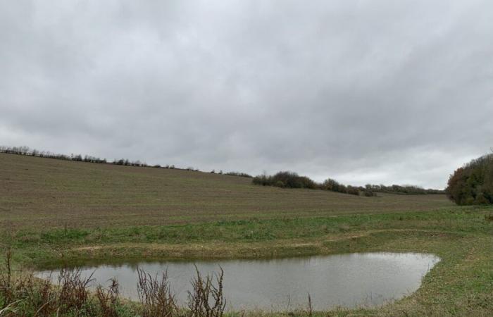 A development to retain rainwater and avoid flooding in this village in Seine-Maritime