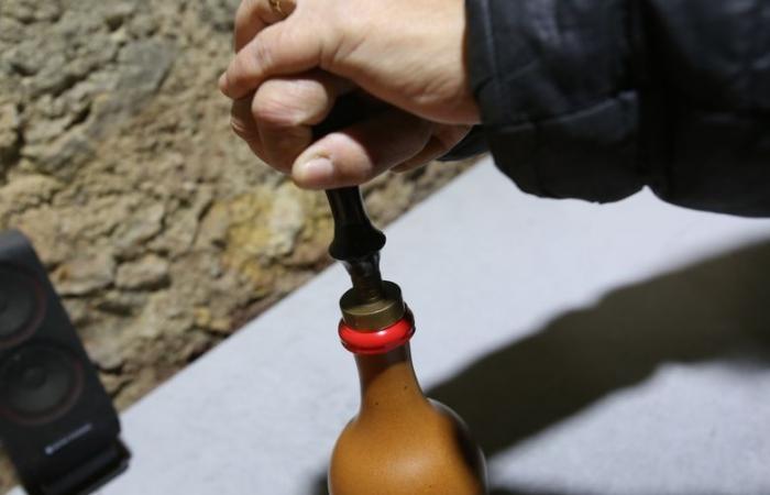 The medieval wines of Domaine du Cardona in Fraïssé-des-Corbières, one of the treasures of the Louvre museum