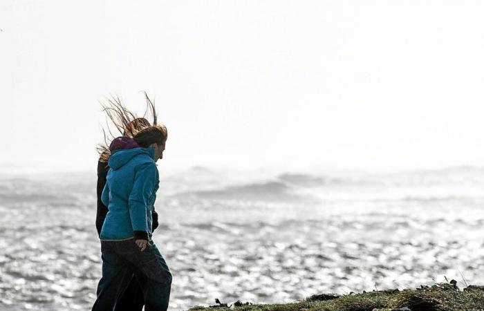 Violent gusts of wind: Ille-et-Vilaine and Côtes-d’Armor on orange alert on Sunday