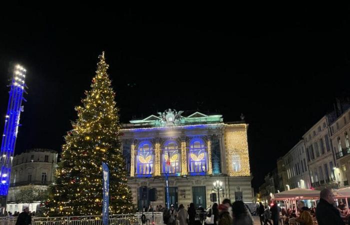 what guided tours to explore the city under its festive coat?