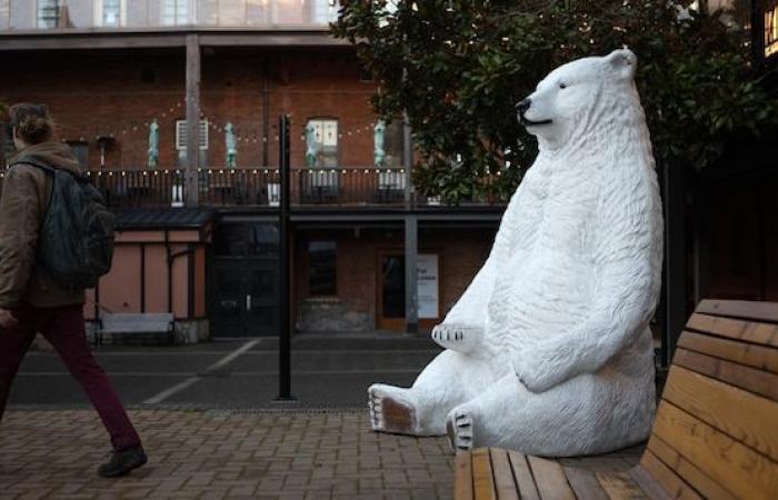 We will have a white Christmas (almost) everywhere in Canada