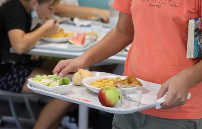 Is the increase in school catering prices in Grasse “unjustified”?