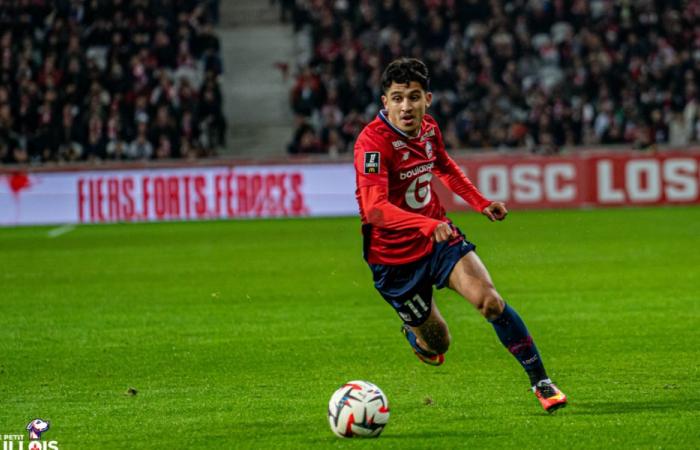 Coupe de France – 32nd: The scores of the Dogues after FC Rouen 1899 – LOSC