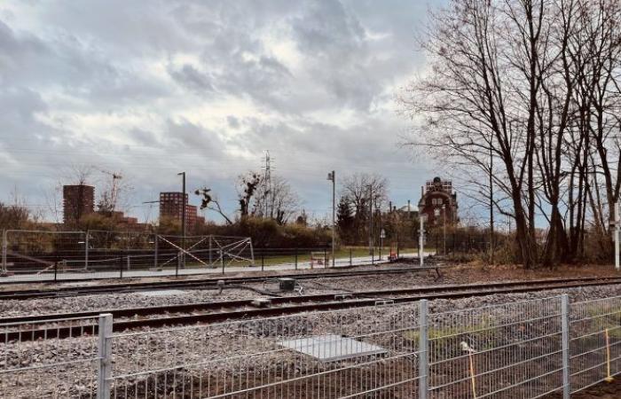 a level crossing now connects the tram to the Coop district!