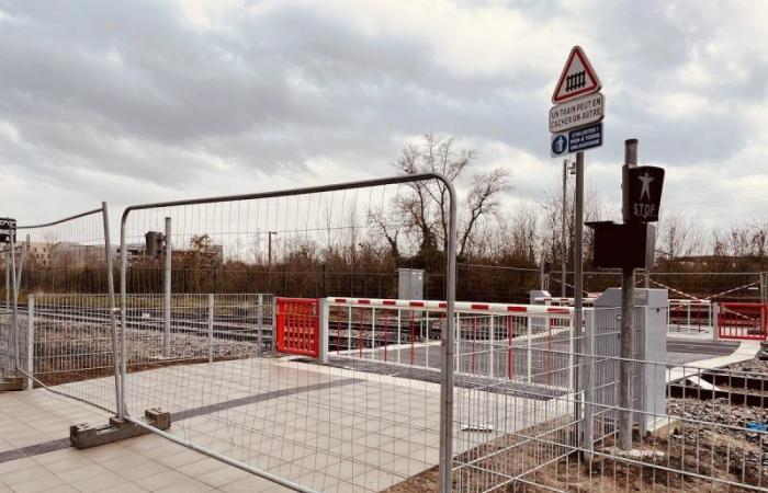 a level crossing now connects the tram to the Coop district!