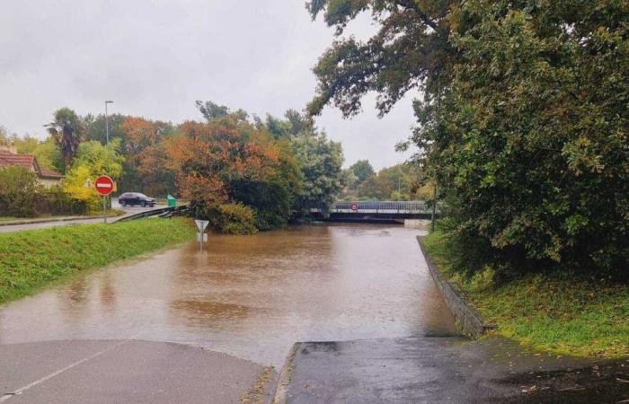 This municipality in Loire-Atlantique is working on a new management plan to deal with flooding