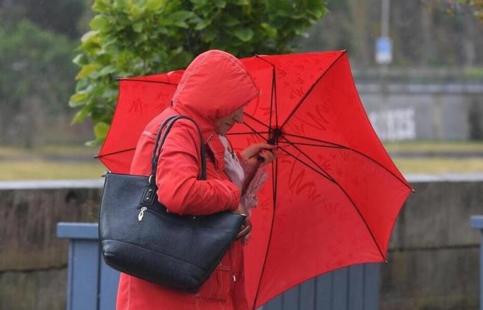 Strong winds: Maine-et-Loire and Deux-Sèvres on alert from tomorrow Sunday.