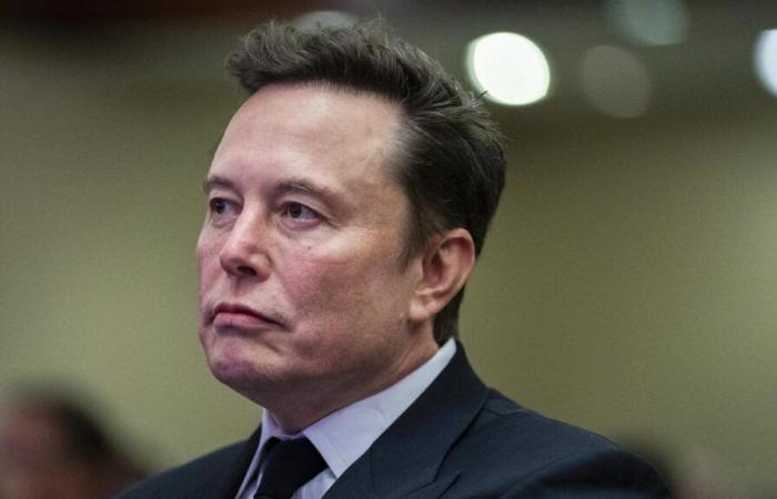 Elon Musk: Elon Musk insults Chancellor Olaf Scholz