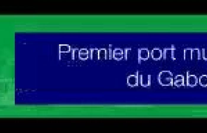 Fight against HIV: 194 CD4 and viral load vouchers distributed | Gabonmediatime.com