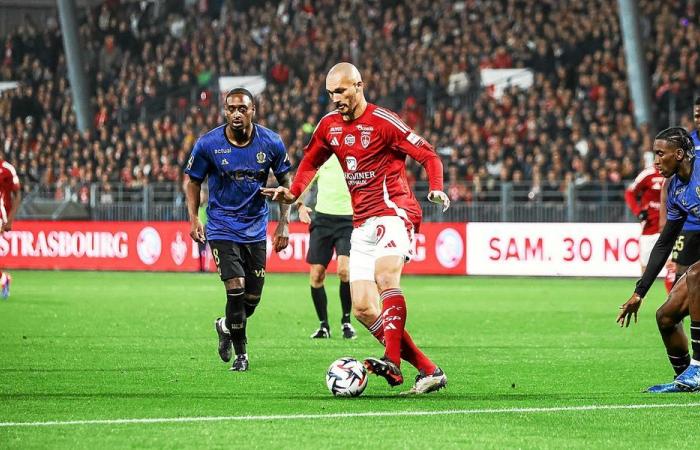 “I want my players to be cannibals”: ​​at Stade Brestois, we will not throw away the Coupe de France