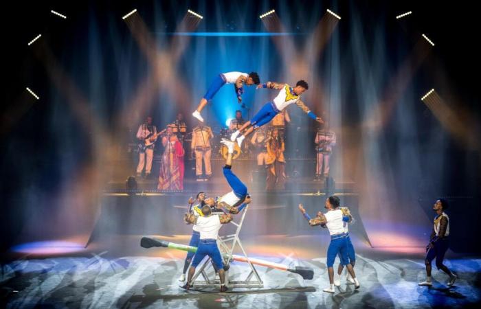 three reasons to vibrate with the energy of “Cirkafrica”