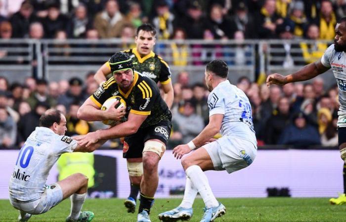 Top 14 – Grégory Alldritt (La Rochelle): “I’m choosy because we have ambitions”