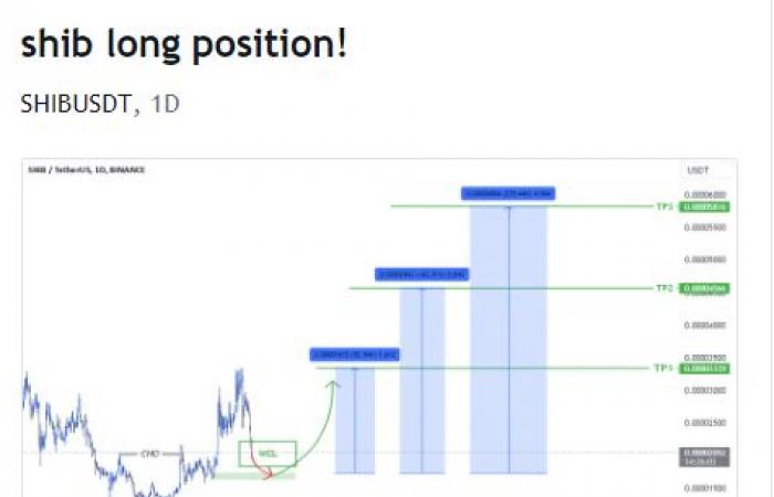 Towards a spectacular jump of 235% for Shiba Inu?