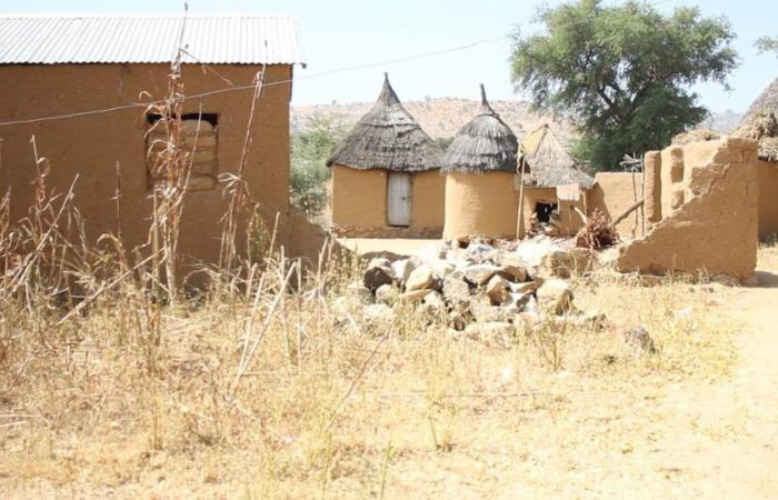 Cameroon: when the Far North does not benefit from “the most beautiful landscapes in the world”