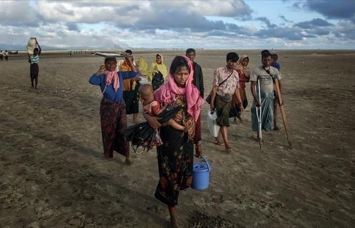 60,000 Rohingya cross the border amid the crisis in Myanmar