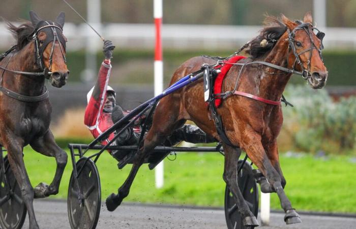 PMU – Arrival of the quinté on Sunday December 22 at Paris-Vincennes: Keep Going on the way to America