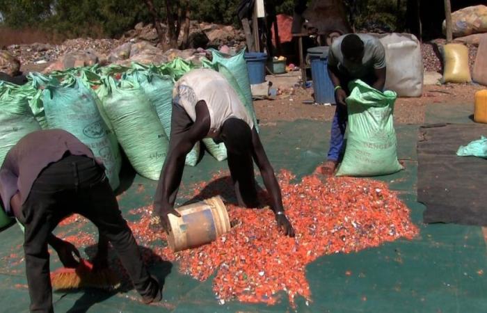 Burkina Faso: “Living with dignity from waste recovery”, Salif Tapsoba proves that it is possible