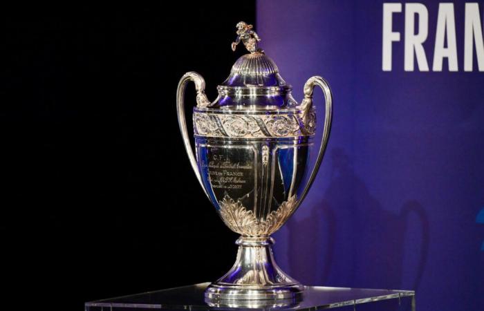 Who will now win the Coupe de France according to the bookmakers?