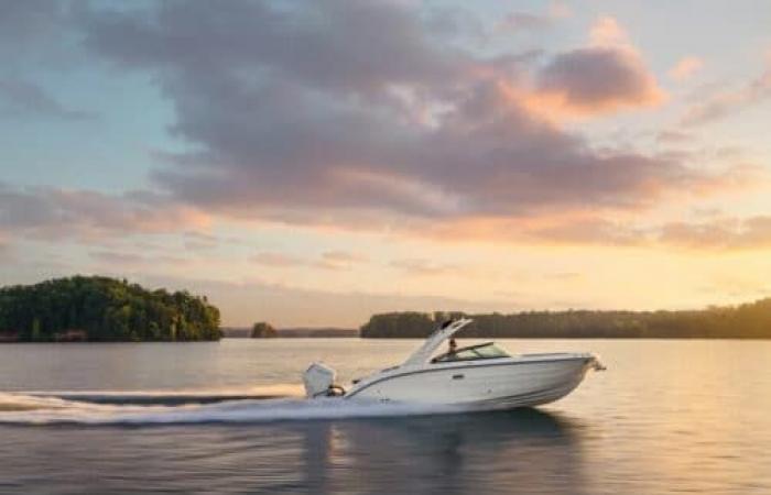 Sea Ray, three new SDX outboards