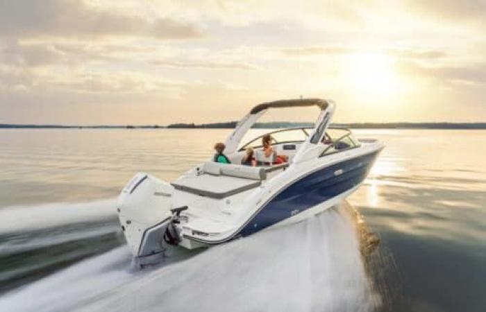 Sea Ray, three new SDX outboards