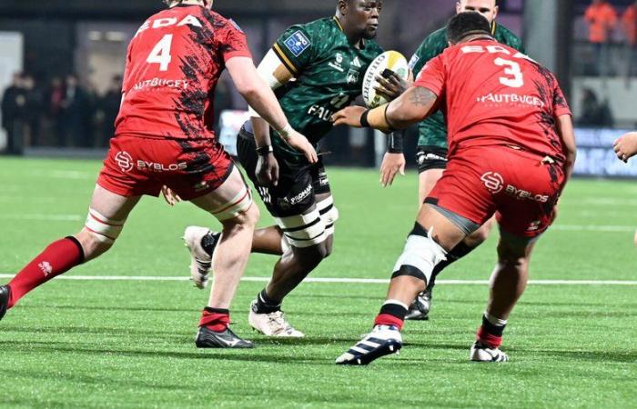 Rugby (Pro D2). An end of the year to forget for Montauban