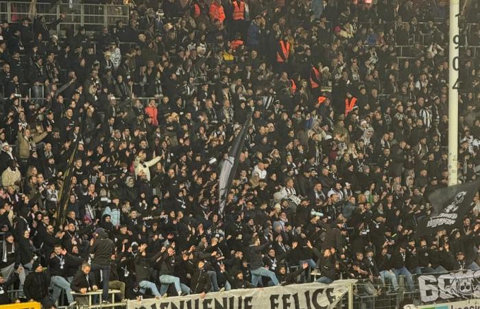 How Charleroi played a nasty trick on Felice Mazzù, their former coach: “They don’t score the second goal by chance”