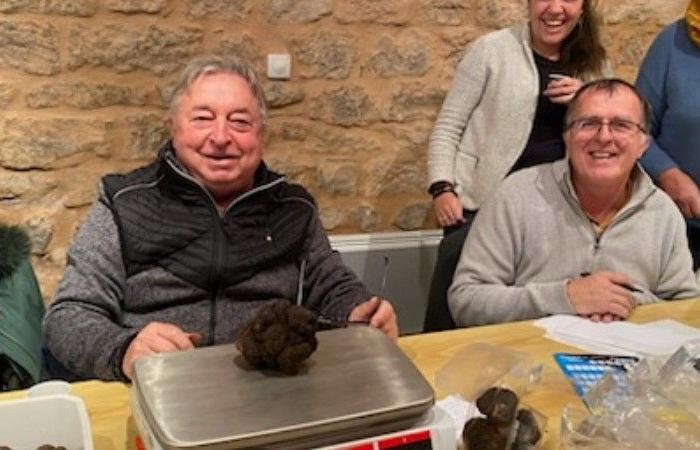 Aveyron. We know the price of a kilo of truffle in Comprégnac! [GALERIE PHOTOS]