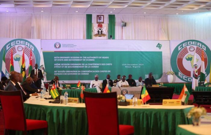 ECOWAS: Mali, Niger and Burkina reject the withdrawal period granted