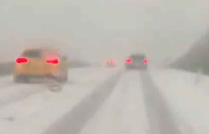 VIDEO. “Unprecedented weather phenomenon!” : “In a few moments, everything turned white even though it was 7 degrees!”, a “snowstorm” fell on motorists on the highway