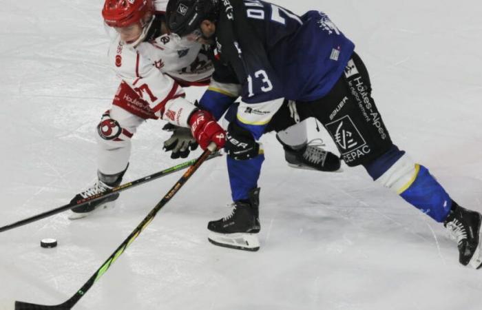 Ice Hockey – Magnus League. Grenoble not brilliant under the eyes of Olivier Giroud, the derby for Gap… all the results of the 29th day