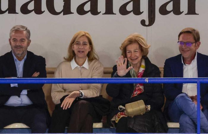 Queen Sofia tenderly encourages her grandson Pablo during his handball match